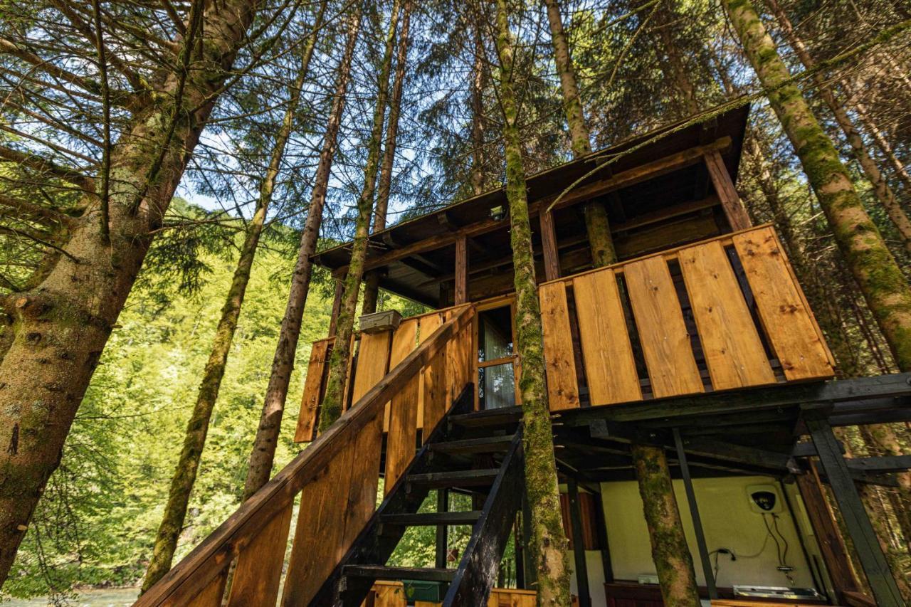 Treehouse Kupari Nacionalni Park Risnjak Cabar Exterior foto