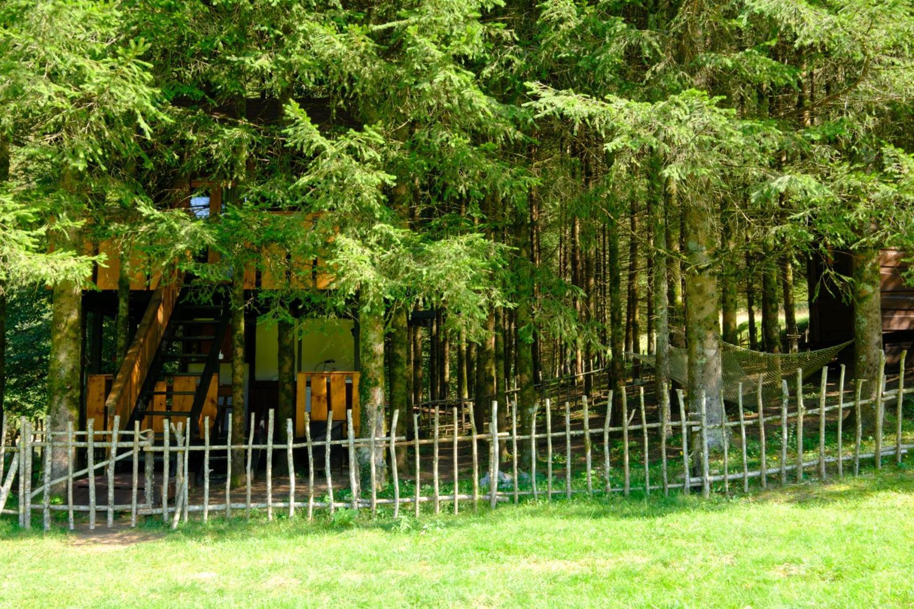 Treehouse Kupari Nacionalni Park Risnjak Cabar Exterior foto